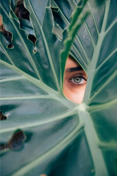 Through the leaf